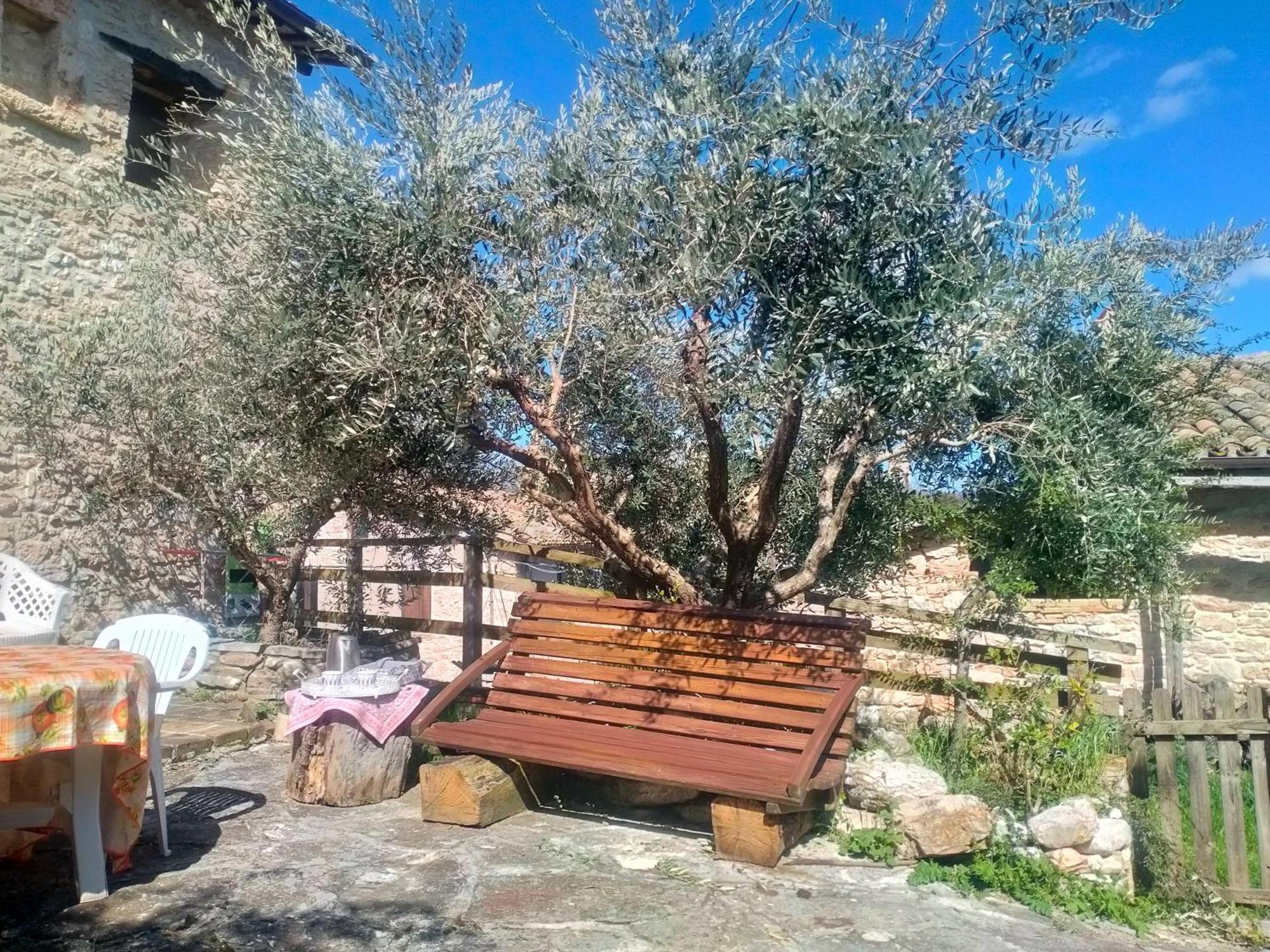 Maison En Pierre Fiastra Cameră foto